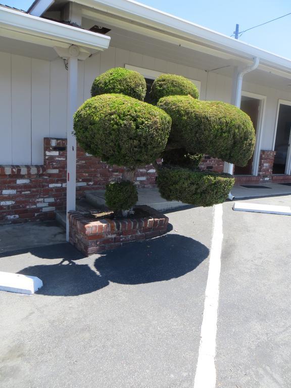 Old Marina Inn Exterior photo